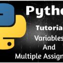 Python Programming Tutorial 3 – Variables and multiple assignments