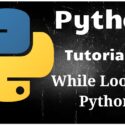 Python Programming Tutorial 13 – While Loops in Python